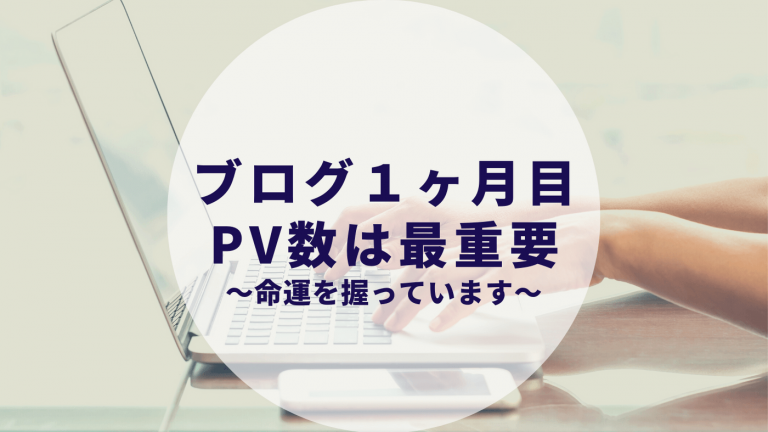 ブログ1ヶ月目のpv数はこれからのブログ人生の命運を握っています カップルブログ たこみそ