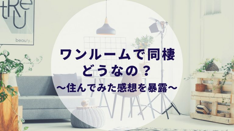 ワンルームでカップル同棲 １ヶ月住んでみた感想を暴露 メリット デメリットは カップルブログ たこみそ