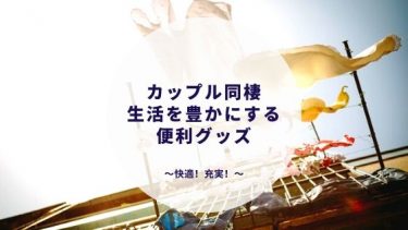 カップル同棲2ヶ月目 11月の家計簿全公開 家賃 光熱費 食費 生活費 カップルブログ たこみそ