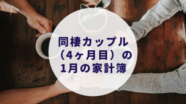 カップル同棲5ヶ月目 2月の家計簿全公開 家賃 光熱費 食費 生活費 カップルブログ たこみそ