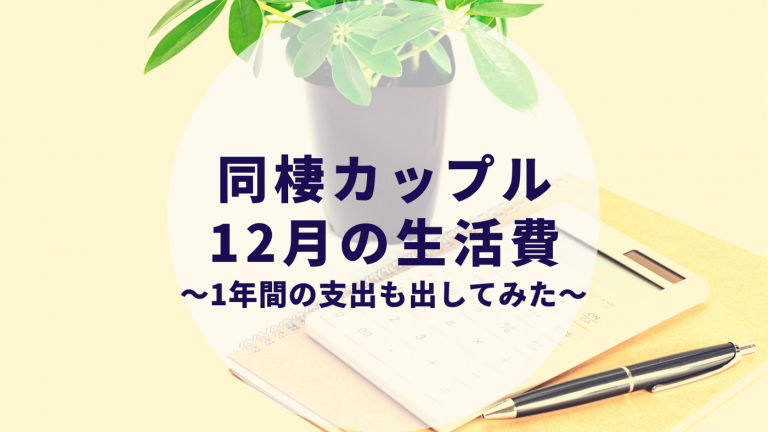 同棲生活費 家計簿 カップルブログ たこみそ